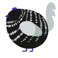 A sable and silver chicken with a bar pattern