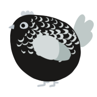 A sable and silver chicken with a half-lace pattern