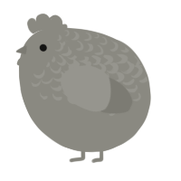 A ash chicken with a half-lace pattern