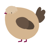 A beige and bark chicken