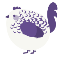 A white and overcast chicken with a half-lace pattern