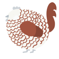 A white and russet chicken with a lace pattern