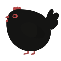 A black chicken
