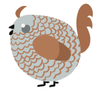 A silver and brown chicken with a lace pattern