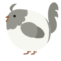 A white and ash chicken with a head pattern