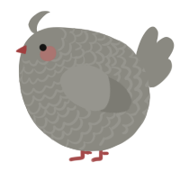 A ash chicken with a lace pattern