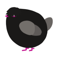 A sable and grey chicken