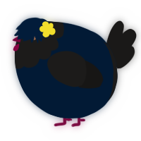 A tumblr and sable chicken with a head pattern