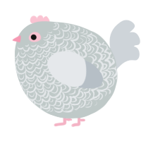 A silver and mist chicken with a double-lace pattern