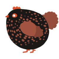A sable and russet chicken with a speckle pattern