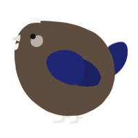 A bark and navy chicken