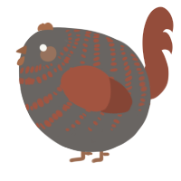 A grey and russet chicken with a bar pattern