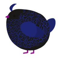 A sable and navy chicken with a double-lace pattern
