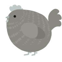 A ash chicken with a bar pattern
