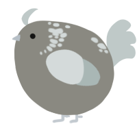 A ash and silver chicken with a neck-speckle pattern