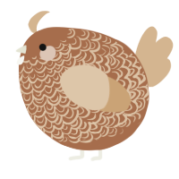 A brown and beige chicken with a double-lace pattern
