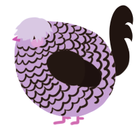 A lilac and sable chicken with a lace pattern