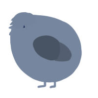 A sable and grey chicken