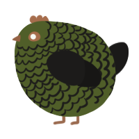 A olive and sable chicken with a lace pattern