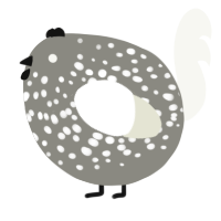 A ash and white chicken with a speckle pattern
