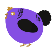 A blurple and black chicken with a neck-band pattern