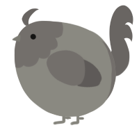 A ash and grey chicken with a head pattern