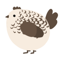 A cream and bark chicken with a half-lace pattern