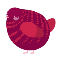 A maroon and crimson chicken with a bar pattern