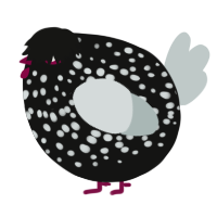 A black and silver chicken with a speckle pattern
