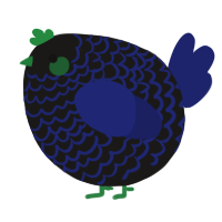 A sable and navy chicken with a lace pattern