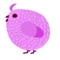 A lavender and orchid chicken with a lace pattern