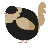 A sable and orange chicken with a head pattern