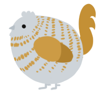 A mist and gold chicken with a bar pattern
