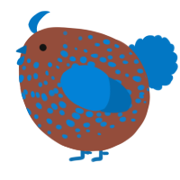 A russet and sapphire chicken with a speckle pattern