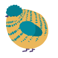 A honey and sea chicken with a bar pattern