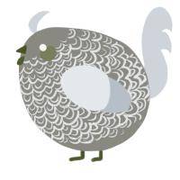 A ash and mist chicken with a double-lace pattern