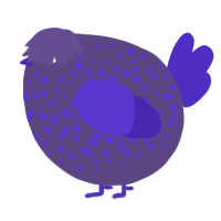 A overcast and indigo chicken with a speckle pattern