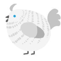A white and silver chicken with a bar pattern
