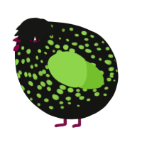 A black and grass chicken with a speckle pattern