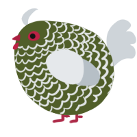 A olive and mist chicken with a lace pattern