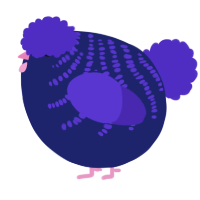 A navy and indigo chicken with a half-bar pattern