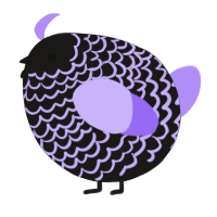 A sable and lilac chicken with a lace pattern