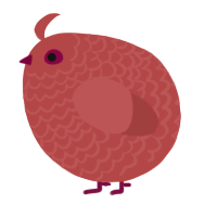 A red chicken with a lace pattern