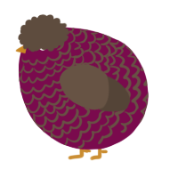 A wine and bark chicken with a lace pattern