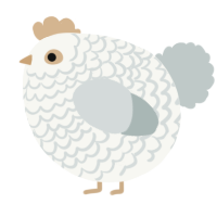 A white and silver chicken with a lace pattern