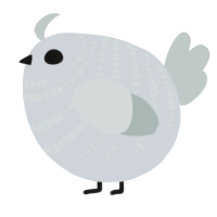 A mist and silver chicken with a bar pattern