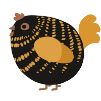 A sable and orange chicken with a bar pattern