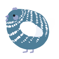 A teal and silver chicken with a bar pattern