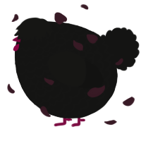 A black chicken with a lace pattern