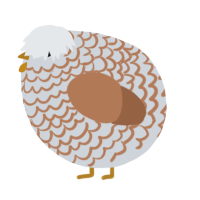 A mist and brown chicken with a lace pattern